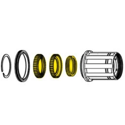 Mavic 2 Ratchets 40T Incl. Spring For ID360 MTB - V2372801